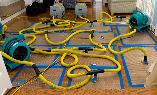 Professional Water Damage Repair technician working in Republic, WA